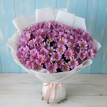 Букет цветов из:  Хризантемы в Динской