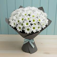 Букет цветов из:  Хризантемы в Динской