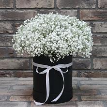 Цветочная композиция из Гипсофила в шляпной коробке в Динской