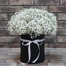 Цветочная композиция из Гипсофила в шляпной коробке в Динской