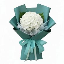 Букет цветов из:  Гортензия в Динской